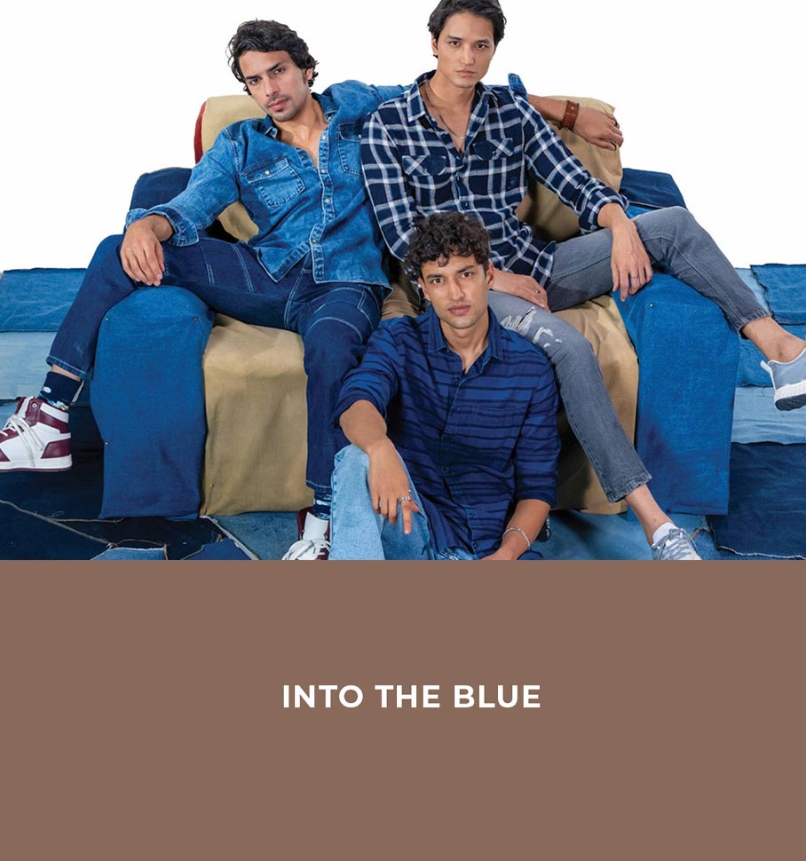 blue buddha phoenix citadel