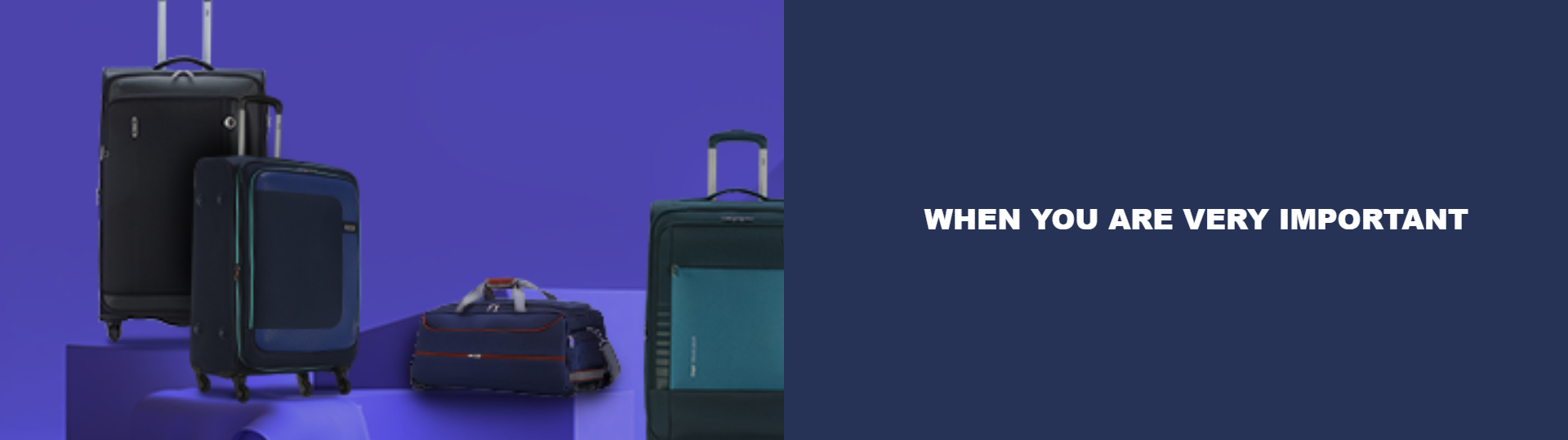 vip luggage banner picture